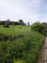 -33059983_wm-0a5ae04244-4dcaa63987.webp