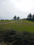 -33059983_wm-61682da9f6-4dcaa63987.webp