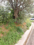-33060202_1920x2560_34.webp