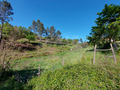 -33060231_wm-5d7143e05e-4dcaa63987.webp