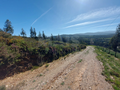 -33060231_wm-77670587e3-4dcaa63987.webp