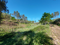 -33060231_wm-df0eb48f30-4dcaa63987.webp