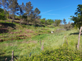 -33060231_wm-fd4d25675e-4dcaa63987.webp
