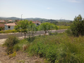 -33060331_wm-6ee6b54bc7-4dcaa63987.webp