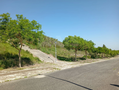 -33060331_wm-bf6412f914-4dcaa63987.webp