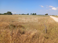 -33060739_wm-20795b9a09-4dcaa63987.webp
