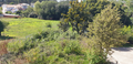 -33060884_wm-16662c1693-4dcaa63987.webp