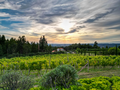 -33060925_wm-6a64b39397-4dcaa63987.webp