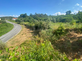 -33060963_wm-65be680af0-4dcaa63987.webp