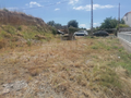 -33061147_wm-93a24990bc-4dcaa63987.webp