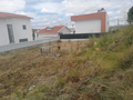 -33061147_wm-d1af6d9889-4dcaa63987.webp