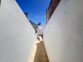 -33061392_wm-65f86a0d6e-4dcaa63987.webp