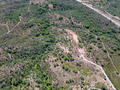 -33061475_wm-7336e6d42e-4dcaa63987.webp