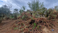 -33061668_1920x1080_169.webp