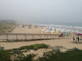 -33061778_wm-3a19c4ca60-4dcaa63987.webp