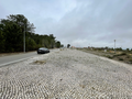 -33061814_wm-5eebe453d3-4dcaa63987.webp