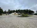 -33061814_wm-908a39e7ff-4dcaa63987.webp