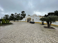 -33061814_wm-ea887d436e-4dcaa63987.webp