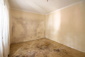 -33061891_wm-d693520e23-4dcaa63987.webp