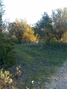 -33061921_wm-e8f3910425-4dcaa63987.webp