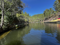 -33061943_wm-97b0698e78-4dcaa63987.webp