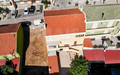 -33062047_wm-42d8a63f3c-4dcaa63987.webp