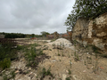 -33062057_wm-4961a08261-4dcaa63987.webp
