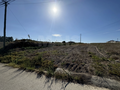 -33062130_wm-6a5355157c-4dcaa63987.webp