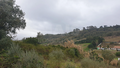 -33062143_wm-308bb97c13-4dcaa63987.webp
