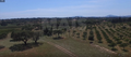 -33062157_wm-af05bc7691-4dcaa63987.webp