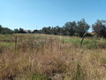 -33062169_wm-58ed03995a-4dcaa63987.webp