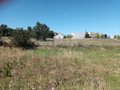 -33062169_wm-d97ba8b64d-4dcaa63987.webp