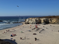 -33062174_wm-59eb6939c3-4dcaa63987.webp
