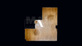 -33062276_wm-26982f29e9-4dcaa63987.webp