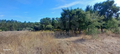 -33062318_wm-7cb228faeb-4dcaa63987.webp