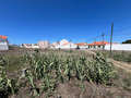 -33062403_wm-63731f5d20-4dcaa63987.webp