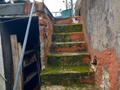 -33062425_wm-4308c57ed4-4dcaa63987.webp