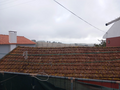 -33062425_wm-8213c05241-4dcaa63987.webp