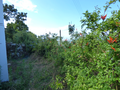 -33062691_wm-dc2ce5a74e-4dcaa63987.webp