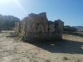 -33062710_wm-4d336c8c70-4dcaa63987.webp