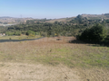 -33062710_wm-57fb7eecc6-4dcaa63987.webp
