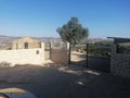 -33062710_wm-d57a4f3d55-4dcaa63987.webp
