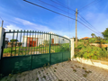 -33062998_wm-ed1eec5c17-4dcaa63987.webp