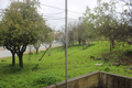 -33063004_1920x1279_32.webp