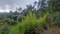 -33063065_1920x1080_169.webp