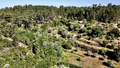 -33063065_wm-d8604ce9db-4dcaa63987.webp