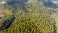 -33063099_wm-1462acd232-4dcaa63987.webp