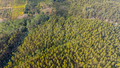 -33063099_wm-ed9a0645d1-4dcaa63987.webp
