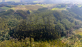 -33063099_wm-f2efda0985-4dcaa63987.webp