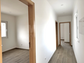 -33063204_wm-bd70533afd-4dcaa63987.webp